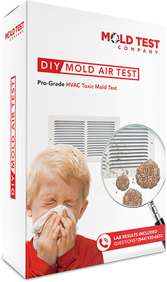 Can Mold Inspection Be Replaced by Home Mold Testing Kits?, by Vesa's Blog