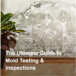 DIY vs Professional Mold Testing: Making The Right Choice - ETA Mold